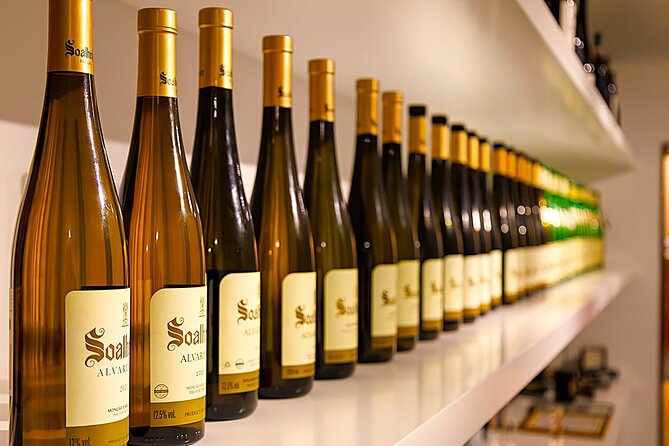 Vinho Verde Experience with 2 Wineries and Lunch - Guides, group energy, and how the day stays smooth