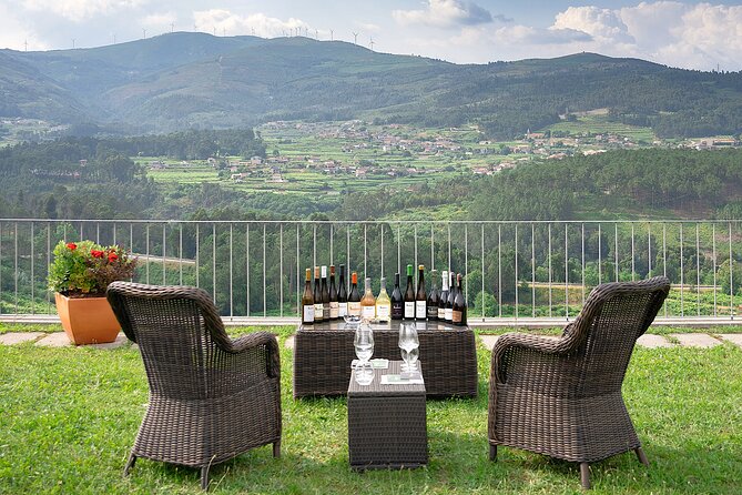 Vinho Verde Experience with 2 Wineries and Lunch - What the $201.19 price covers, and how it stacks up