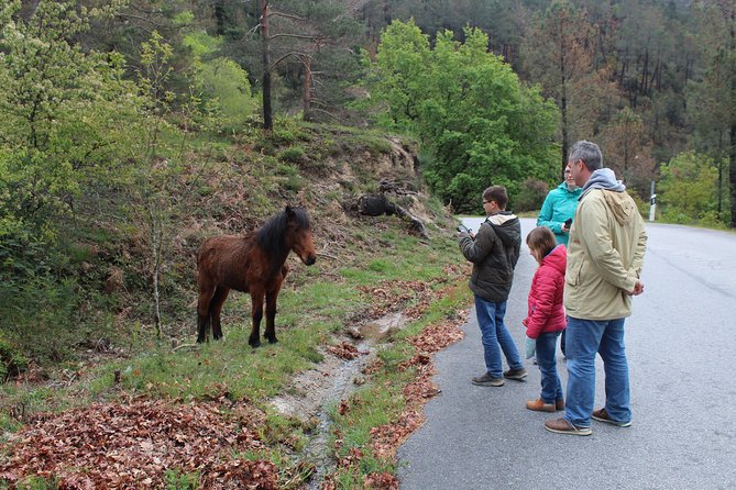 Waterfalls, Heritage and Nature in Gerês Park - from Porto - Campo de Geres: A Tiny Village That Shows You The Park Beyond Water