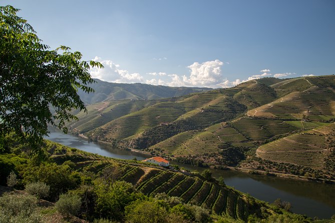 Wine experience with a sommelier - Price and Value for an 8-Hour Private Wine Day
