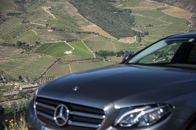 Wine experience with a sommelier - Should You Book This Douro Feeling Lamego Wine Experience?
