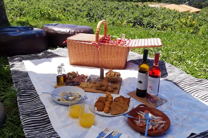Wine Tasting & Lunch from Porto | Quinta de Santa Cristina - Who this tour suits best