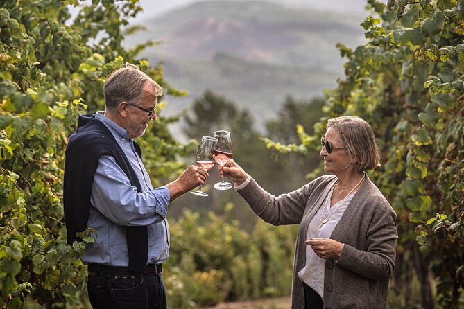 Wine Tasting & Lunch | Quinta de Santa Cristina Vinho Verde - Where you meet at Quinta de Santa Cristina, and how the day ends