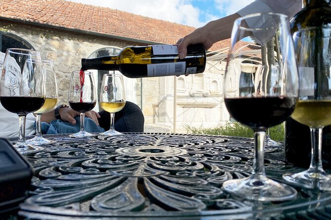 Wine Tasting with Tapas Walking Tour in Porto - Guide energy, group size, and how to get more out of the tour