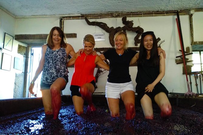 Wine Venture and Boat Trip in Douro Valley from Porto - Stop 2, Bagaúste: the 1-hour electric boat ride and snacks