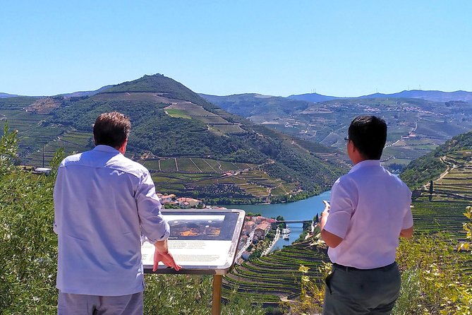 Wine Venture and Boat Trip in Douro Valley from Porto - Wine and value: what you are really paying for