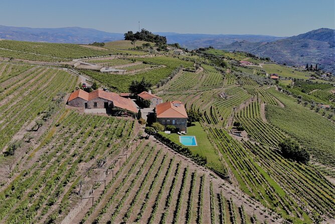 Winery Tour and Wine Tasting Quinta da Portela de Baixo in Lamego - Value for Money: Why This Tasting Feels Fair at $36.20