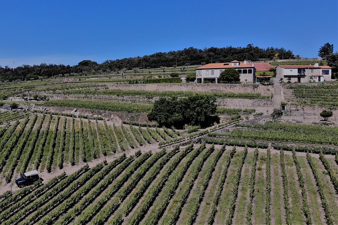 Winery Tour and Wine Tasting Quinta da Portela de Baixo in Lamego - Who Should Book This Wine Tasting in Lamego