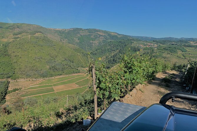 Winery Tour and Wine Tasting Quinta da Portela de Baixo in Lamego - The Wine Lineup: Sparkling, DOC Douro, and Three Port Wines